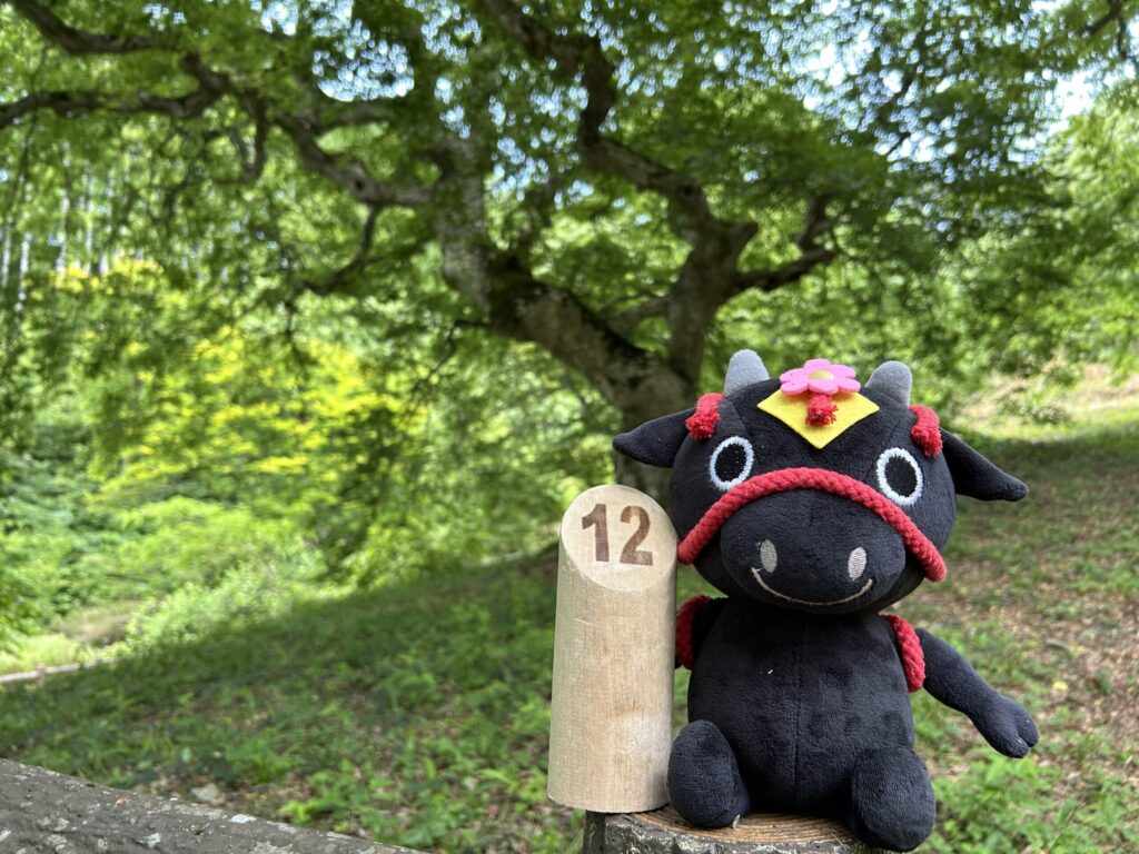 おおあさモルックのロゴ