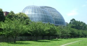 震災復興 モルックななお大会2026｜11/1能登歴史公園、募集は10/7までの写真