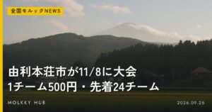 主催は関西テレビ、協賛はパインアメ。第2回関西モルックグランプリ、賞品はなんと…の写真 3
