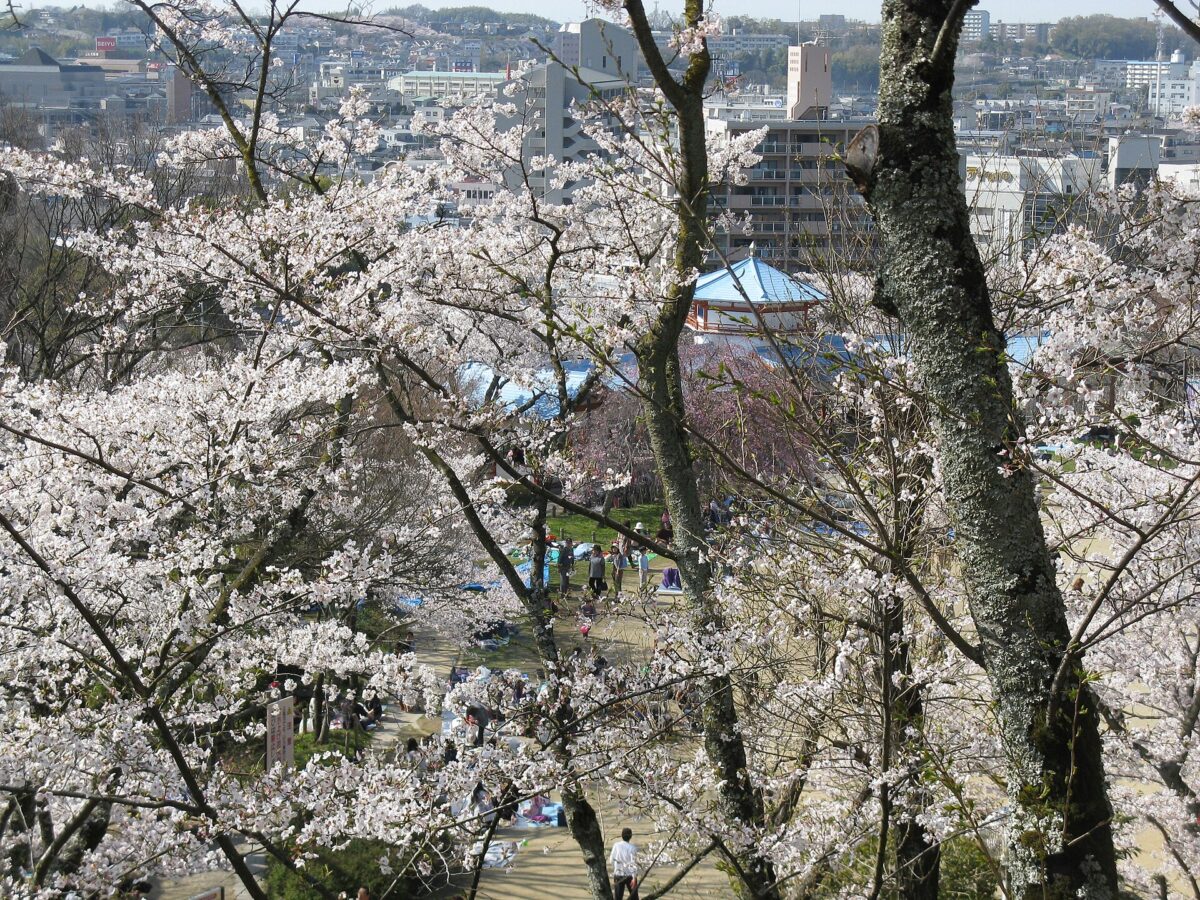 河内長野市の大会会場のひとつ、長野公園
