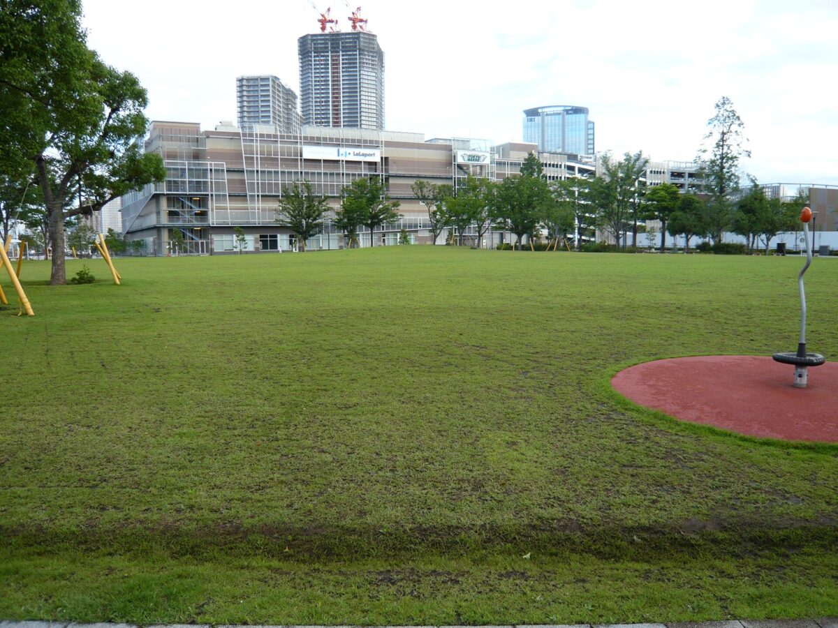 第1戦の会場になる豊洲公園(東京都江東区)