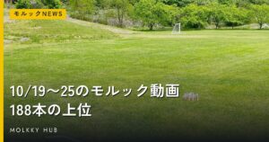 11月のモルック、大会は88件｜舞鶴の日本大会2日目・厚木132チーム・葛飾100チーム・会社対抗の予定をまとめましたの写真