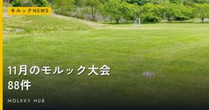 10月19日〜25日のモルック動画は188本｜再生の多かった試合動画5本とショート5本の写真