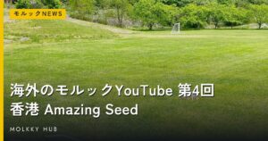 9月19日〜10月26日に登録者がいちばん増えたモルックYouTubeは世界のカワノch｜43チャンネルで516人増の写真
