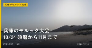 東京のモルック大会｜10/17の豊洲から11/21の葛飾まで、主催の案内で確認できた4大会の写真